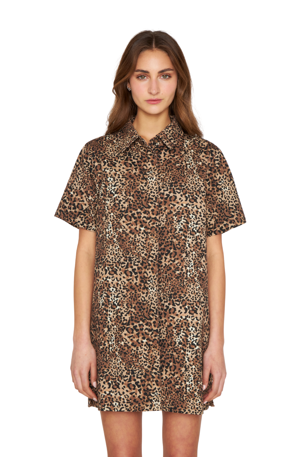 Vestido Alicia animal print